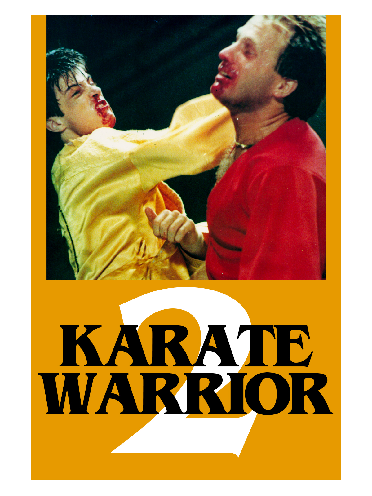 Karate Warrior II