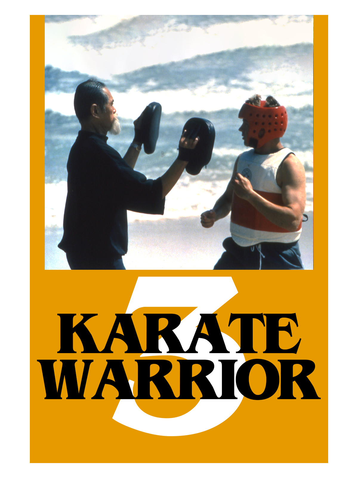 Karate Warrior III