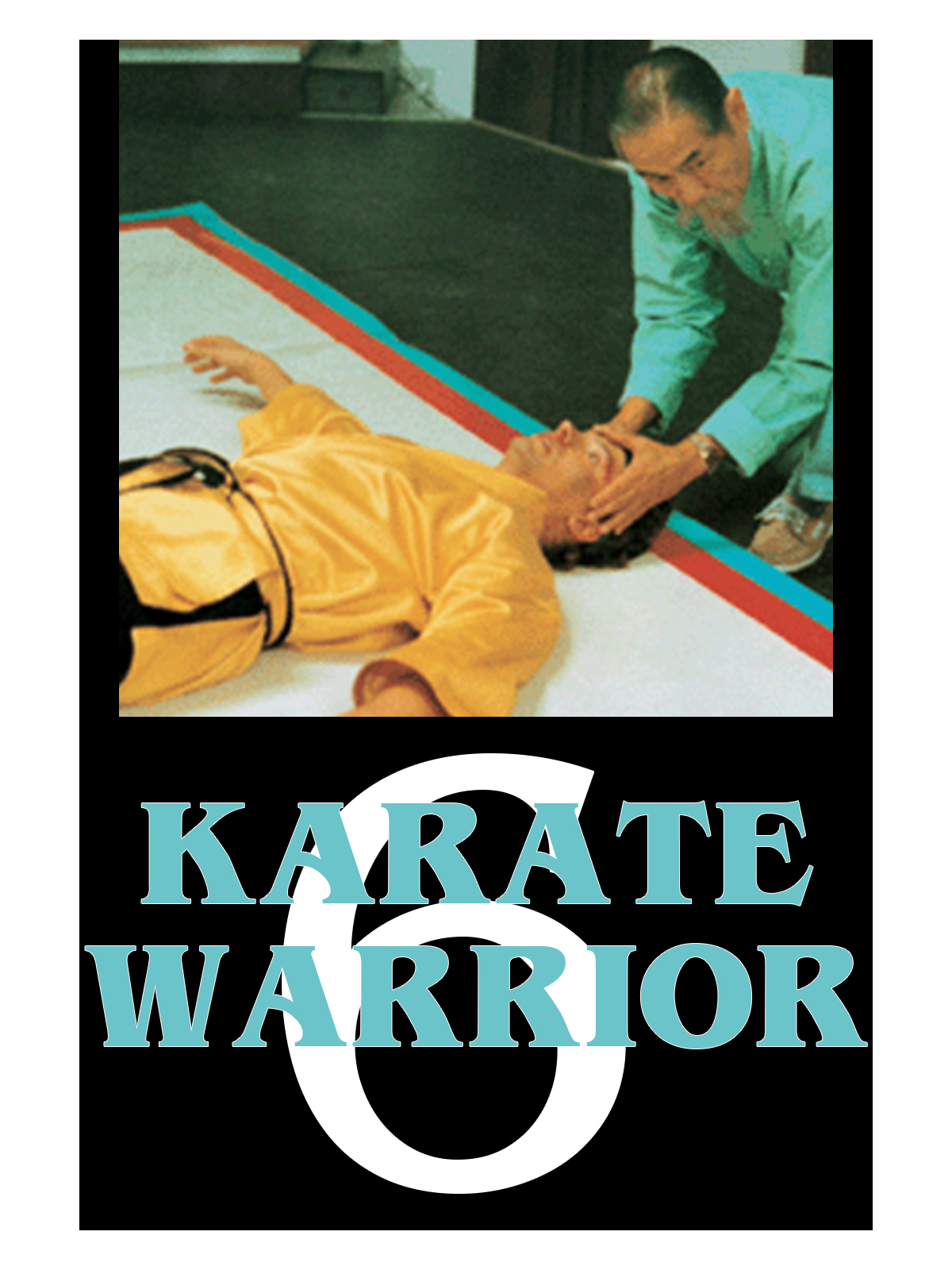 Karate Warrior VI